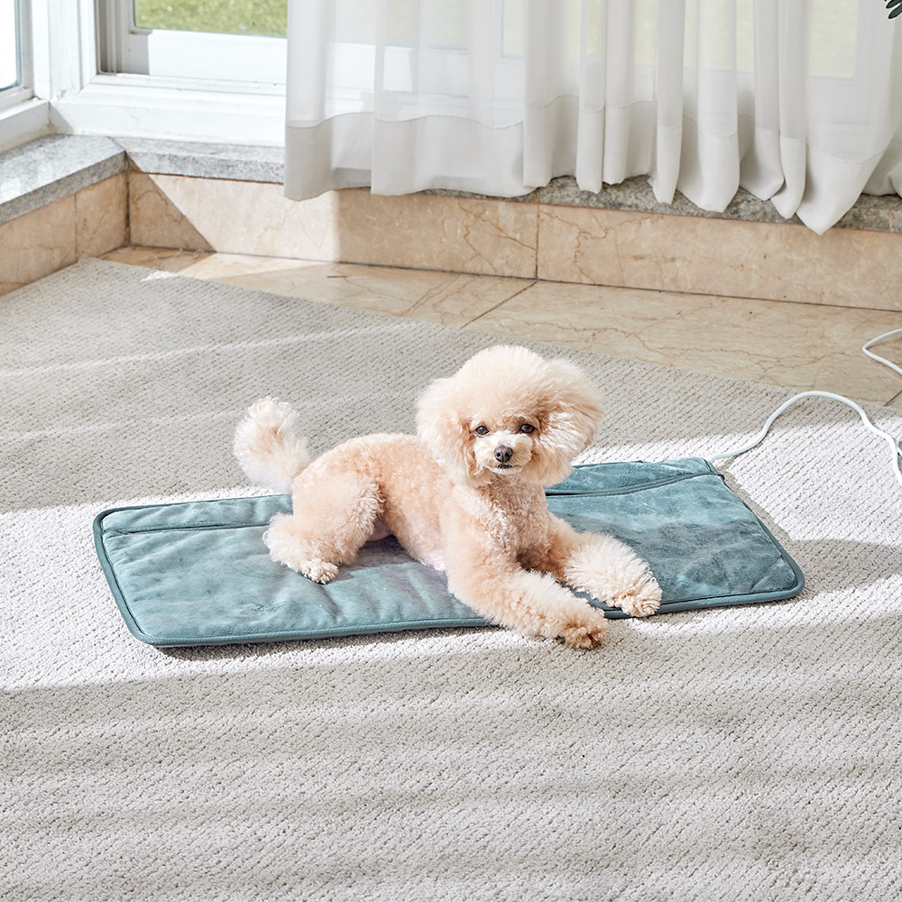 프롬비 닥터슬로우 포켓형 전기찜질기 FD226