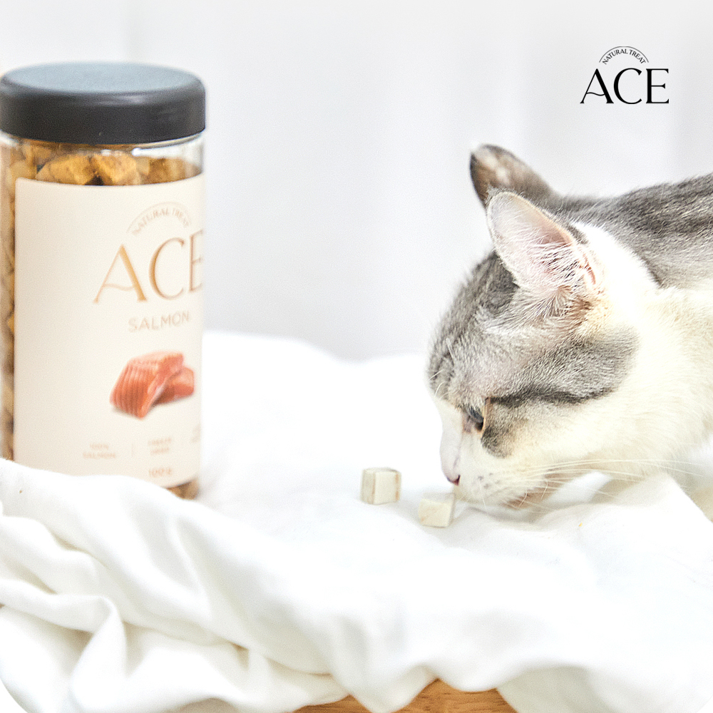 에이스 연어껍질트릿 고양이 강아지 동결건조 간식 이미지 4