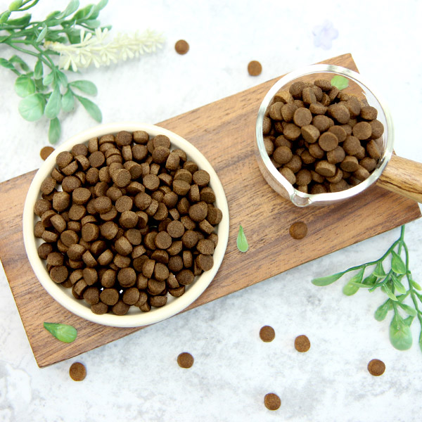 더독 닥터소프트 저알러지 그레인프리 오리, 2.4kg, 1개