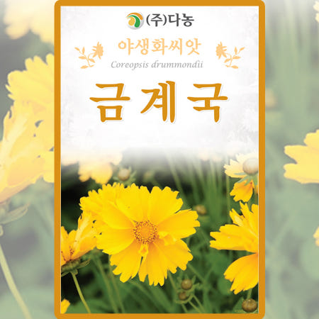 다농 다농 금계국 씨앗 200립 금계국 꽃씨 야생화 종자