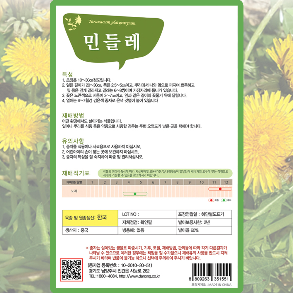 다농 민들레 씨앗 500립 노랑 민들레 꽃씨 야생화 종자 : 양동씨앗마켓