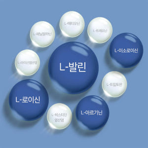 콘드로이친 300g 상어연골분말 프락토올리고당 유산균 아미노산 아르기닌 ... 맛있게 먹은 솔직 후기 - 상품 이미지 2