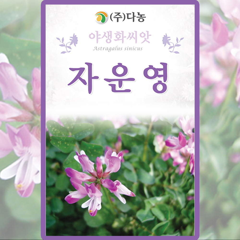 다농 자운영 씨앗 2g 자운영 꽃씨 야생화 종자 : 양동씨앗마켓