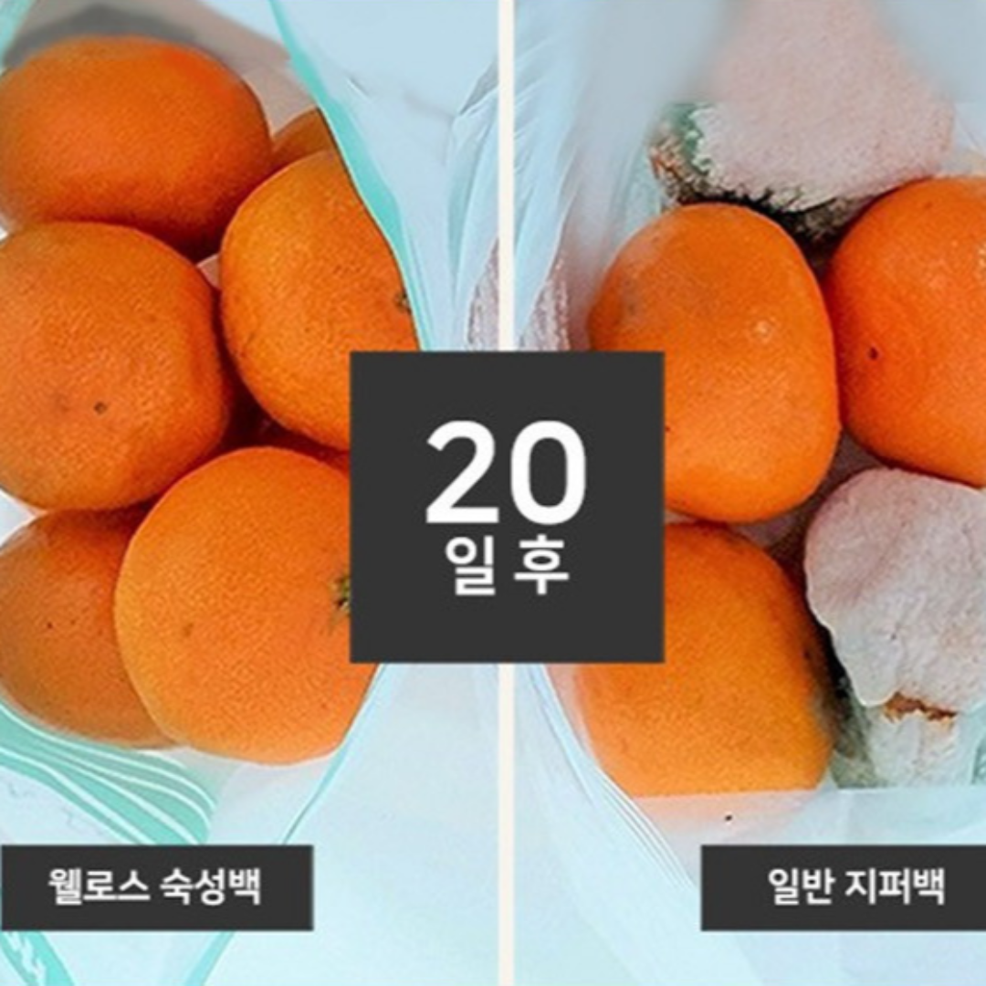 이유식 육수보관 지퍼백 향균지퍼백 패키지 - 상세 이미지 2
