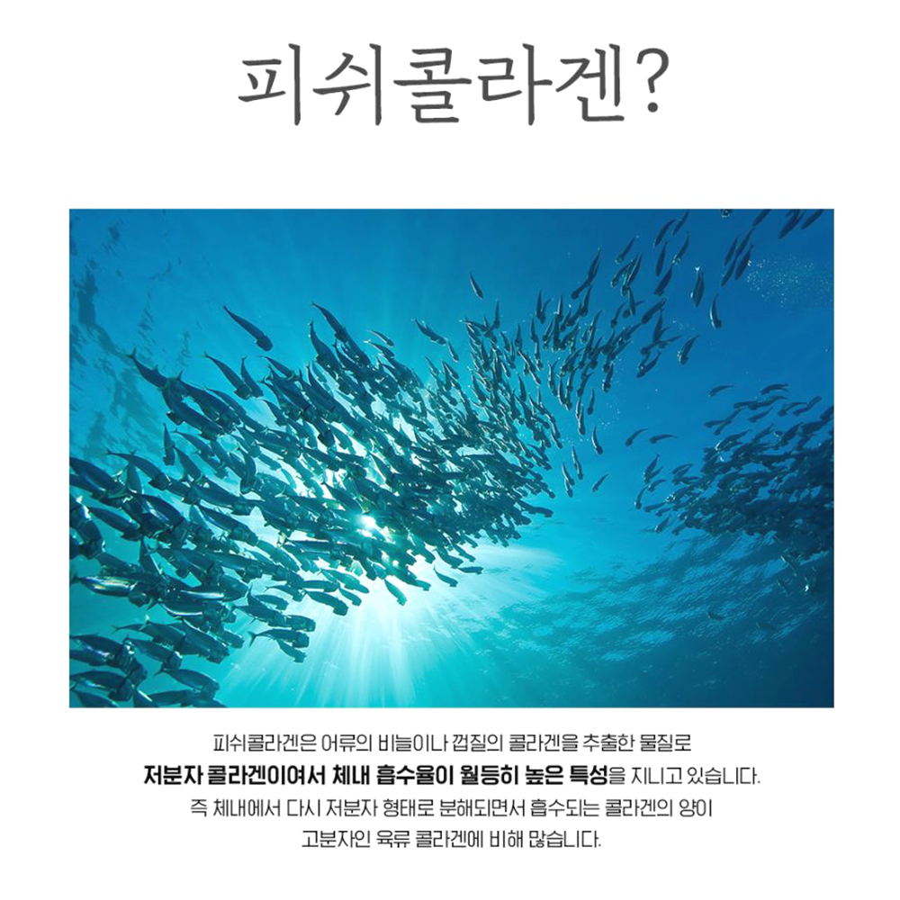 저분자 피쉬콜라겐 분말 간편섭취 샐러드 토핑재료 이미지 3