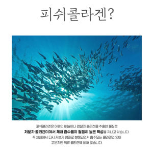 저분자 피쉬콜라겐 분말 간편섭취 샐러드 토핑재료 맛있게 먹은 솔직 후기 - 상품 이미지 3