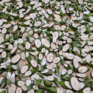 인제 자연산 말린 건재 벌나무 500g 산청목 생벌나무 자연산 벌나무 간... 맛있게 먹은 솔직 후기 - 상품 이미지 3