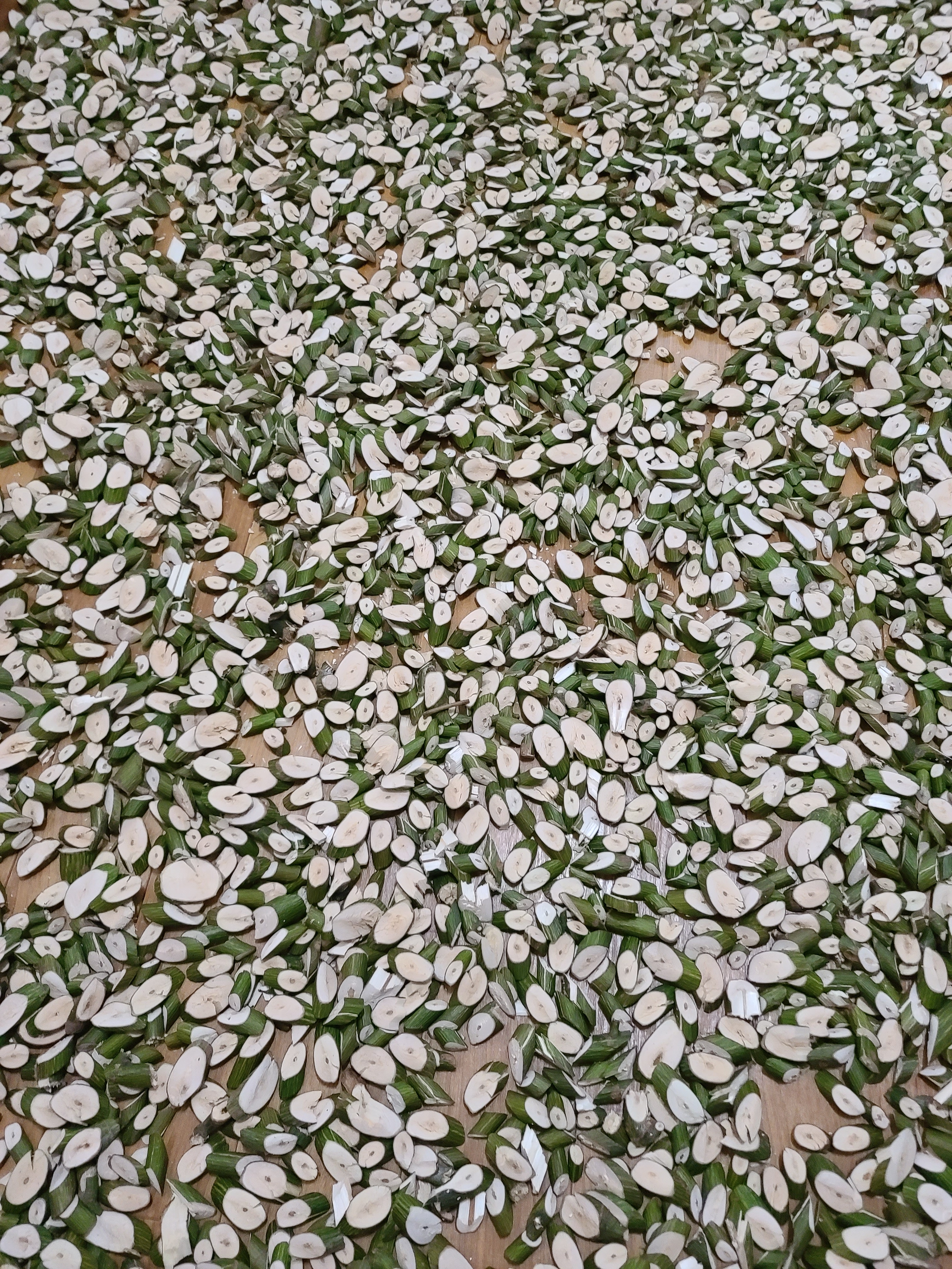인제 자연산 말린 건재 벌나무 500g 산청목 생벌나무 자연산 벌나무 간에좋은나무 이미지 2