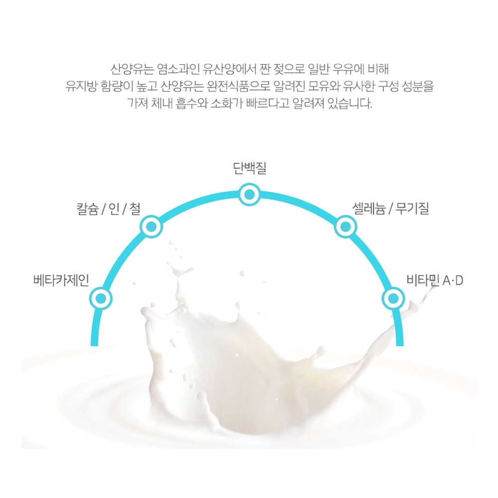 고함량 산양유 300g 유산양 단백질가루 베타카제인 퀄리고트 영양보충 샐러드 토핑재료 이미지 3