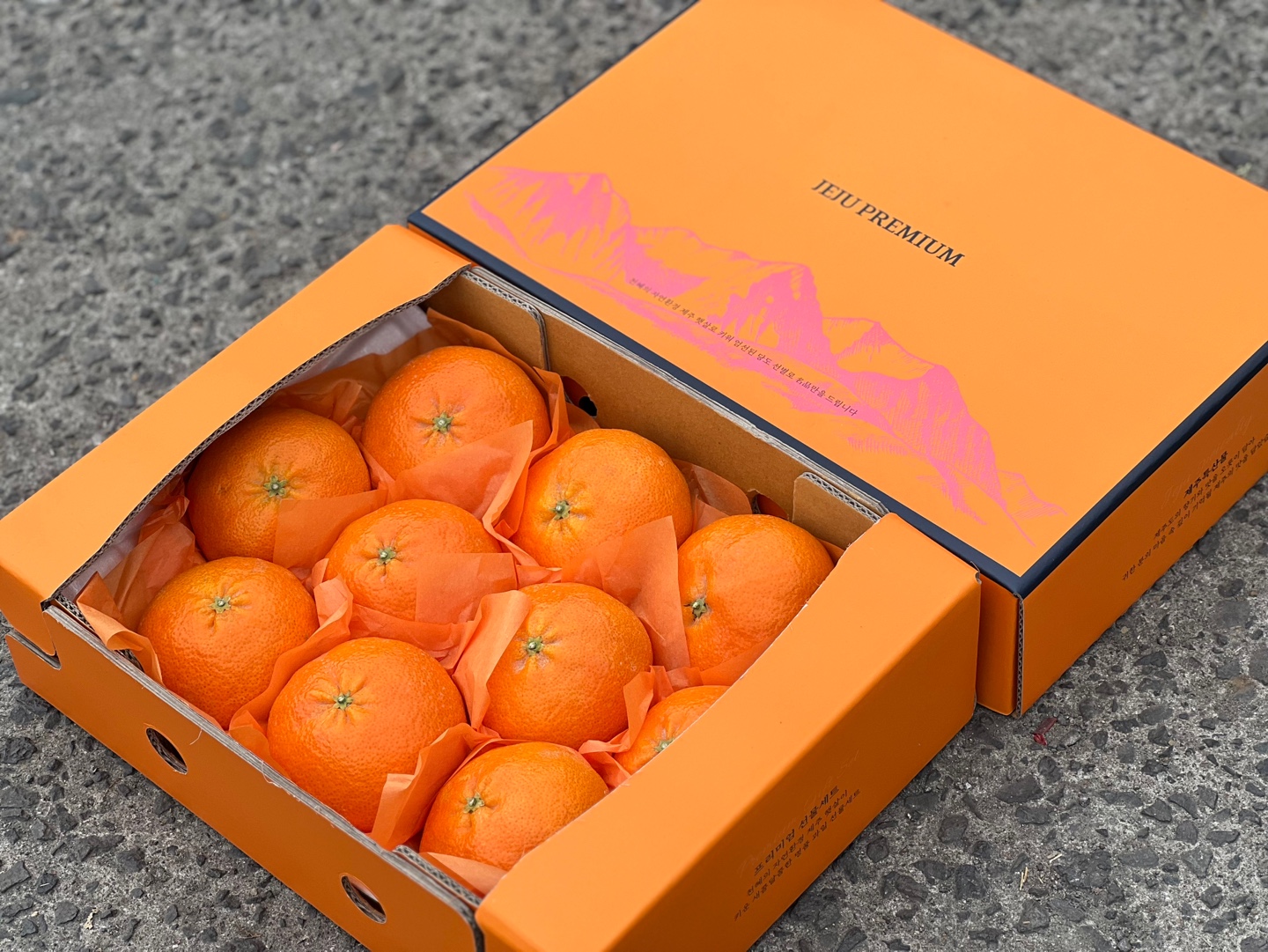 한라봉 2kg 3kg 5kg 선물용 하이엔드 선물세트 소과 중과 대과 제주 산지직송 - 상세 이미지 5