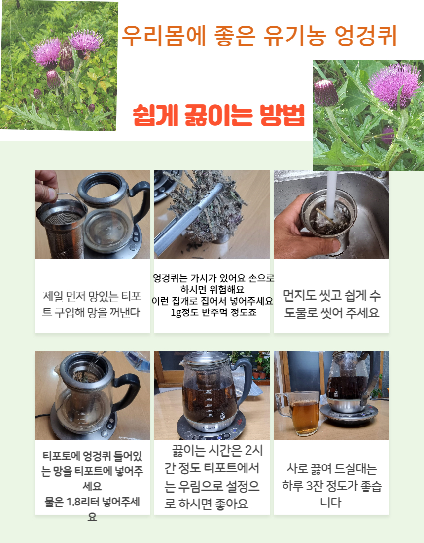 유기농 엉겅퀴차 500g 부여 자연산 - 상세 이미지 2