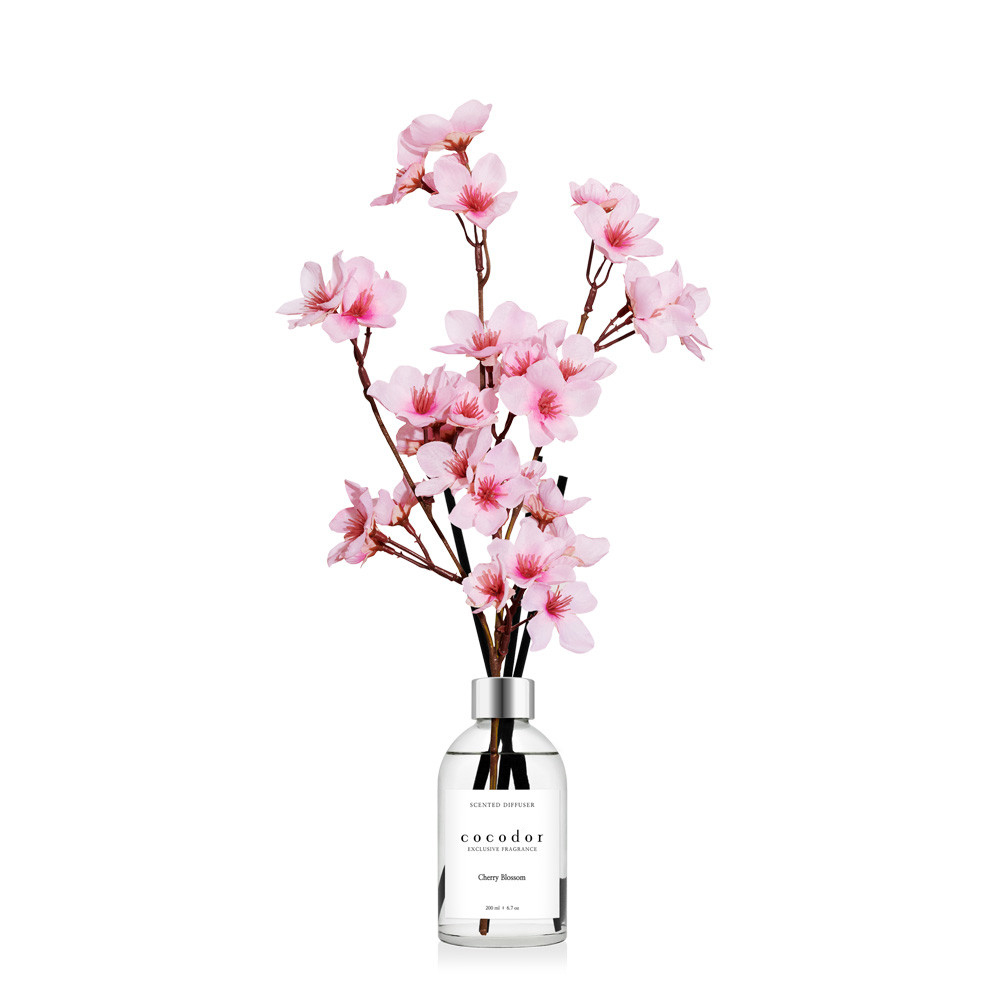 코코도르 화이트라벨 디퓨저 200ml X 2개 + 벚꽃 X 2P 봄 실내 인테리어 방향제 양재동꽃시장 : 코코도르