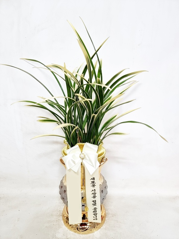 동양란 동양난 최고급 금색 고급 투각분 승진 선물 취임 개업 사무실 인사이동 난배달 화분