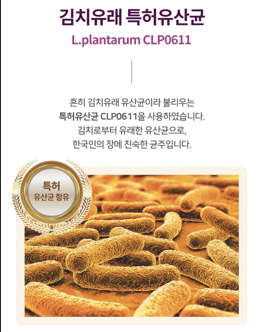 락토바이오 베베 키즈 어린이 유산균 아기 비타민D 아연 면역 영양제 30포, 1개 - 상세 이미지 5