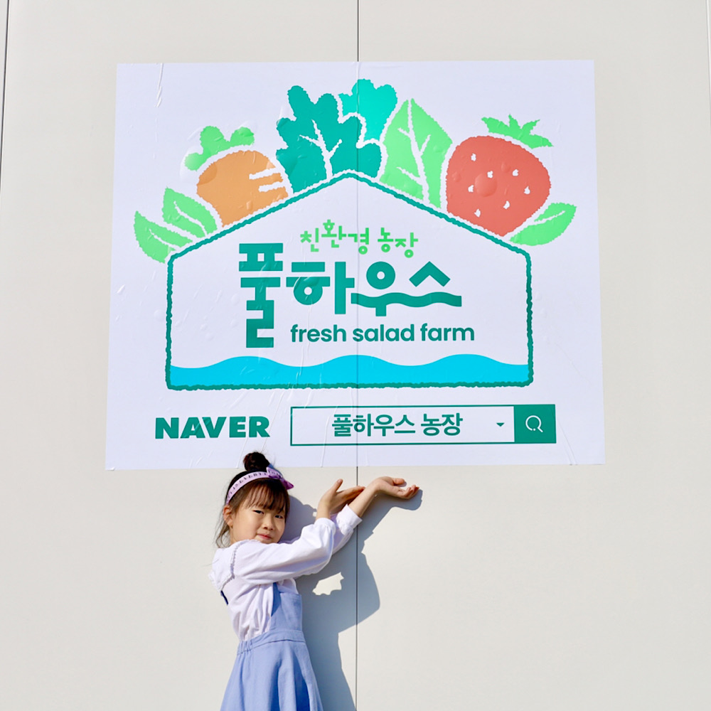 풀하우스농장 무농약 유럽종 치유샐러드 쌈채소 500g 1kg 당일수확 배송 이미지 7