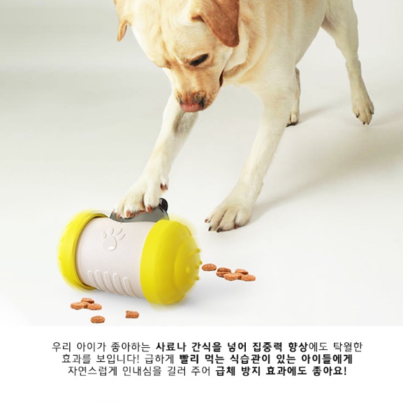 푸들 반려견 분리 불안 장난감 강아지 간식 장난감 노이즈워크 - 상세 이미지 5
