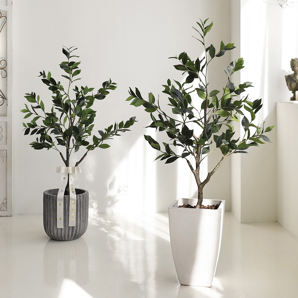 럭키 금전수 돈들어오는 조화 돈나무 승진 진급 퇴임 영전 기념 축하 선물 A 사각 화분