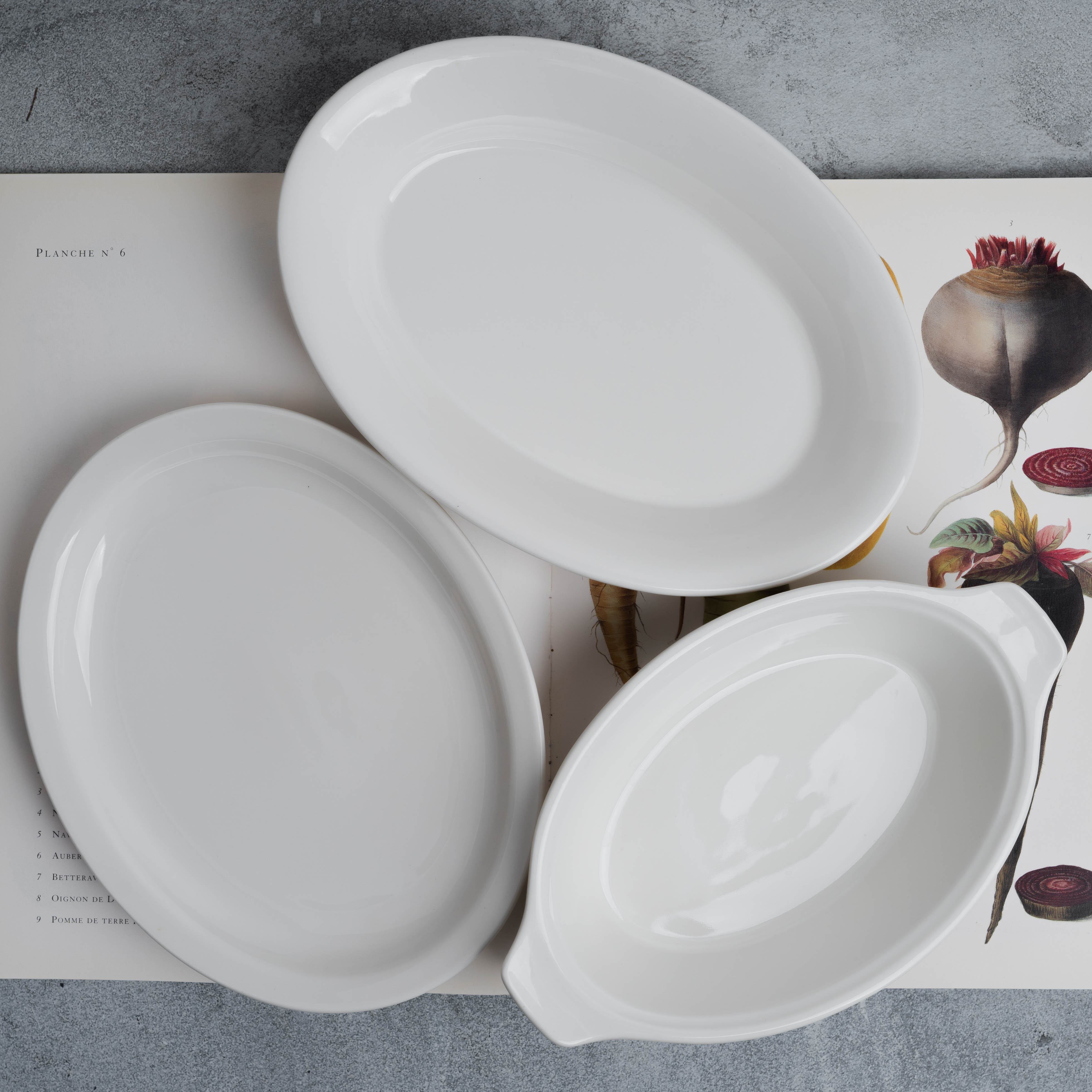 시라쿠스 뉴욕 화이트 샐러드 시리즈 크림 돈까스 원형 접시 18cm