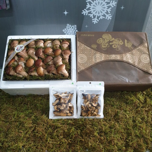 참송이버섯 선물세트 실속형 참송이 버섯 700g 건버섯 30g 2팩 : 촌NoM