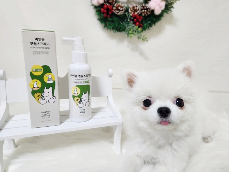 아인솝 강아지 고양이 입냄새 제거 뿌리는 치약 구강 덴탈 스프레이 100ml 이미지 2