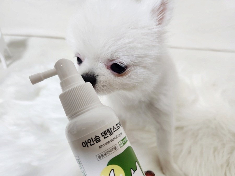아인솝 강아지 고양이 입냄새 제거 뿌리는 치약 구강 덴탈 스프레이 100ml 이미지 3