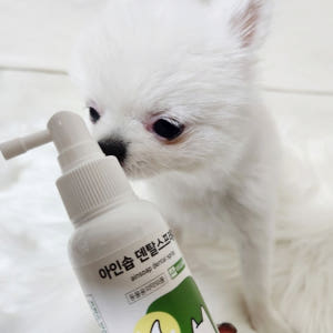 아인솝 강아지 고양이 입냄새 제거 뿌리는 치약 구강 덴탈 스프레이 100... 솔직 후기 | 실제 사용자 리뷰 총정리 - 상품 이미지 3