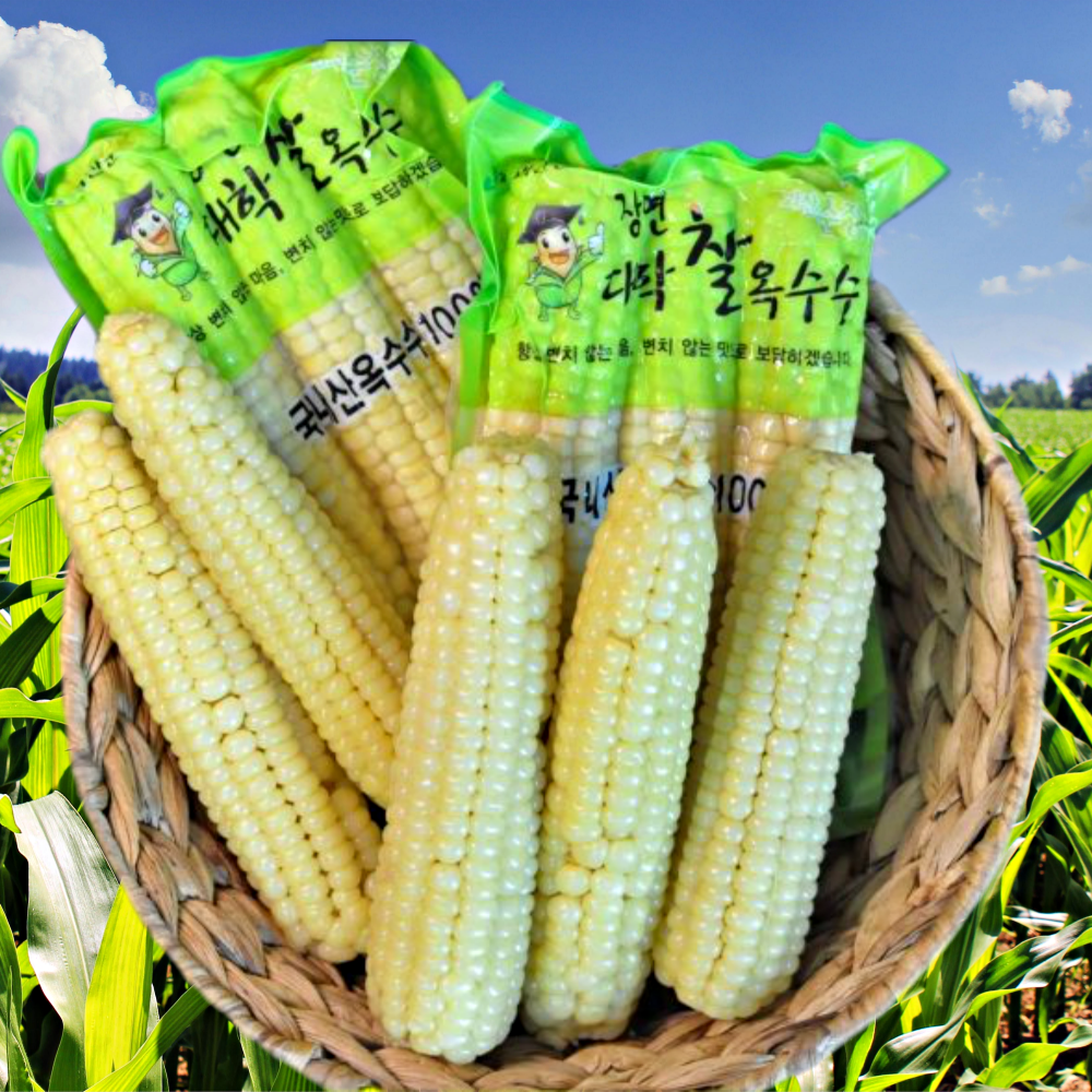 괴산 대학찰옥수수 냉동 삶은 찐 생옥수수
