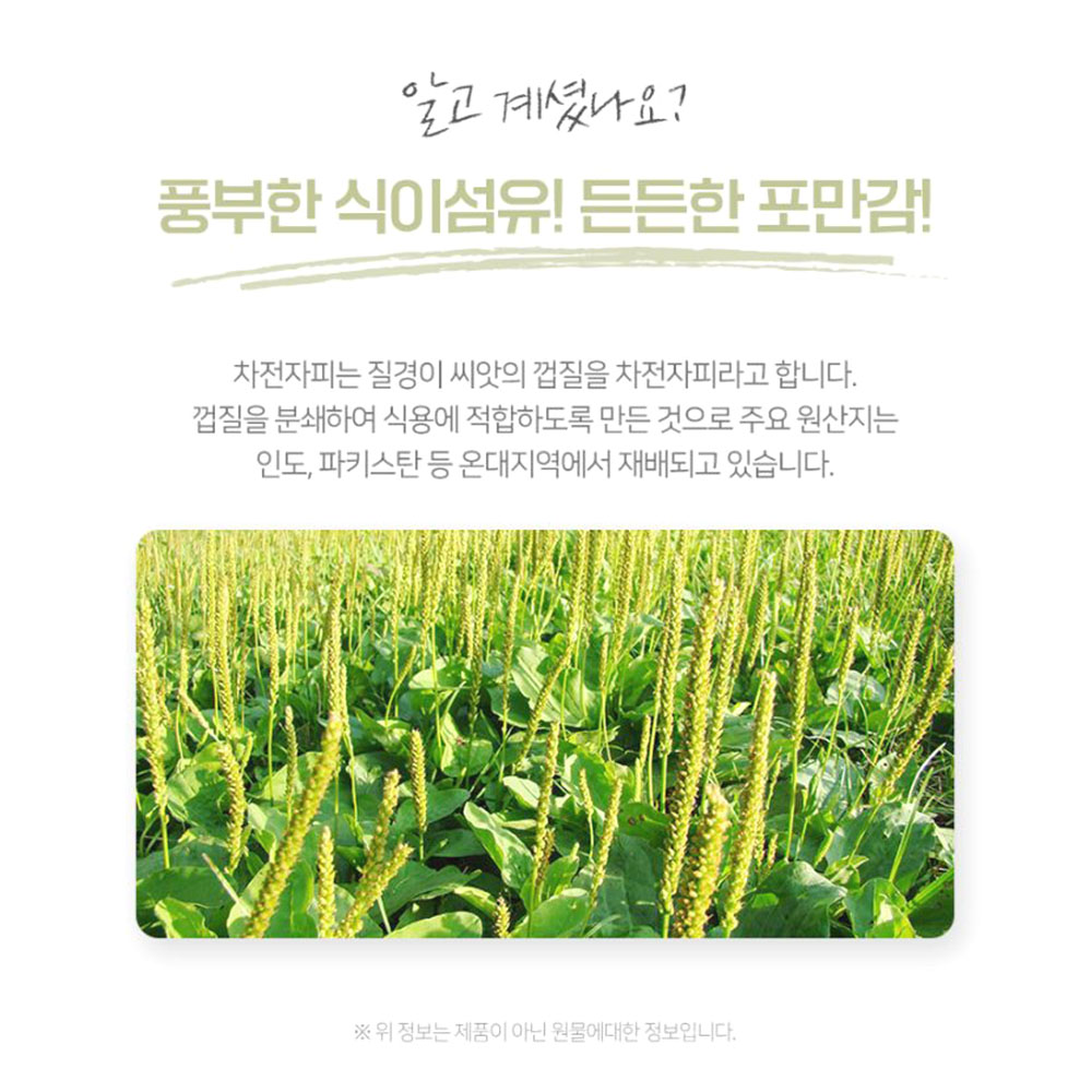 차전자피 분말 250g 인도산 가루 식이섬유 무기질 질경이 씨앗껍질 샐러드 베이킹토핑재료 이미지 3