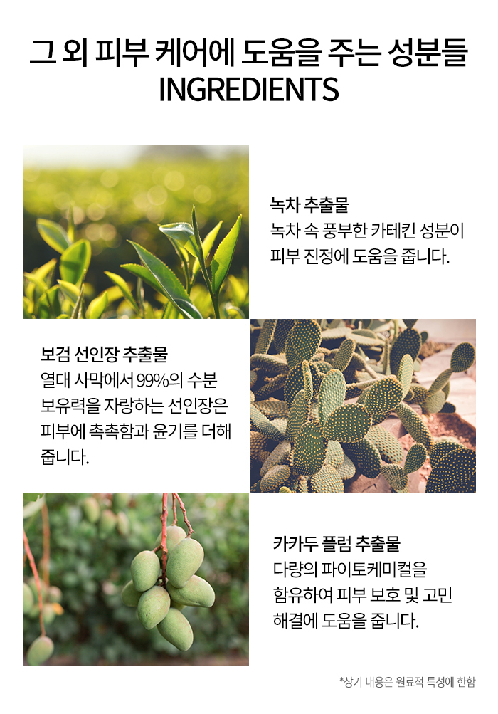 떼즈블랑 앰플 커버 크림 2개입 - 상세 이미지 5