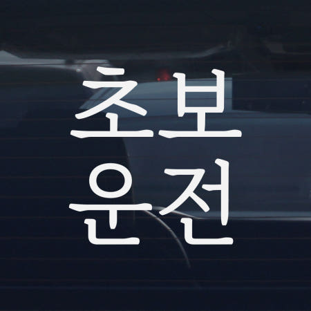 디엑셀 초보운전 스티커 클래식 명조세로 C07 화이트