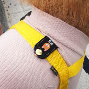 강아지 인식표 애견 이름표 똑딱이1개형 외장칩 일러스트번호 1 솔직 후기 | 실제 사용자 리뷰 총정리 - 상품 이미지 3