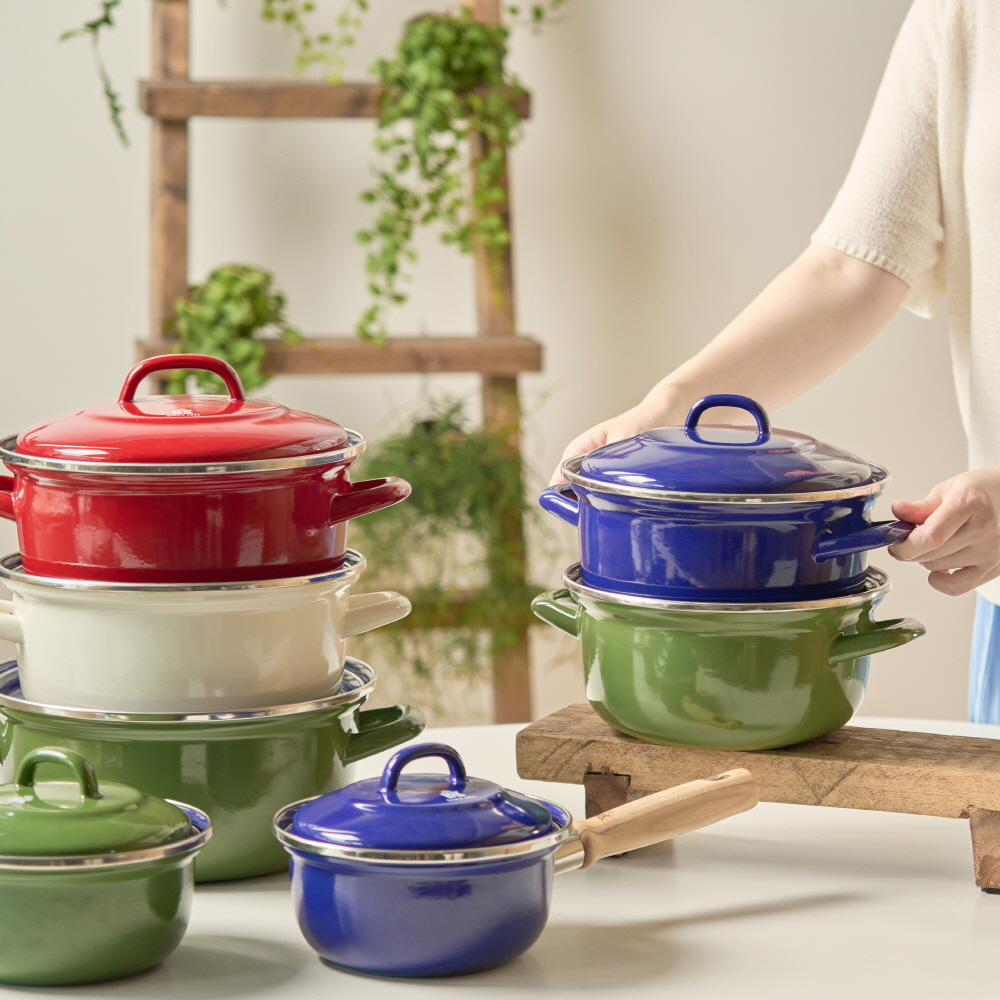 BK쿡웨어 더치오븐 양수냄비 레드 20cm 인덕션 카본스틸 솥밥 주물냄비