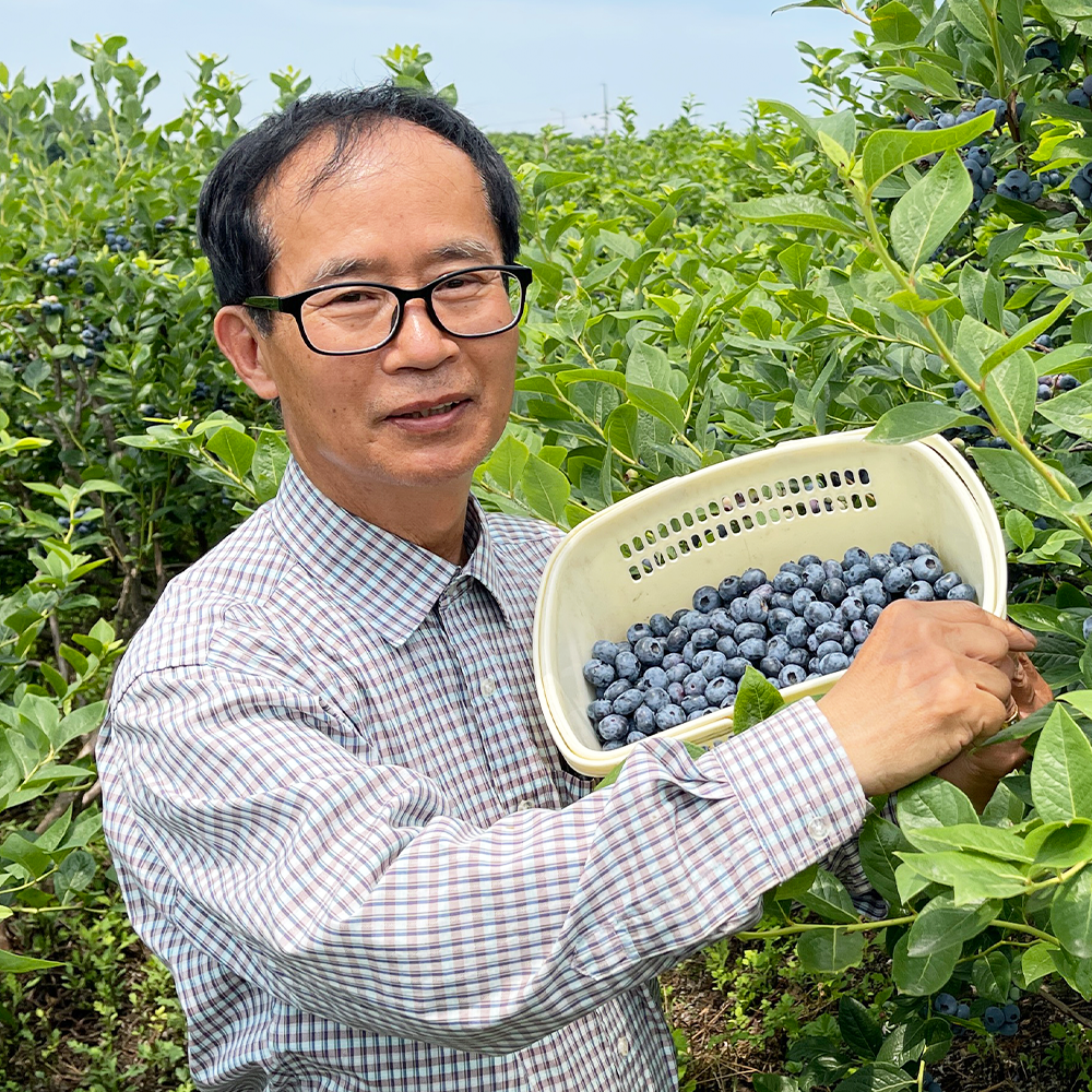국산 유기농 친환경 블루베리 특품 생과 1kg 이미지 2