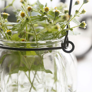 행잉 와이어 미니 글라스 유리 베이스 수경 테라리움 식물 공중 화병 꽃병 실사용 후기 | 효과 있을까? - 상품 이미지 2