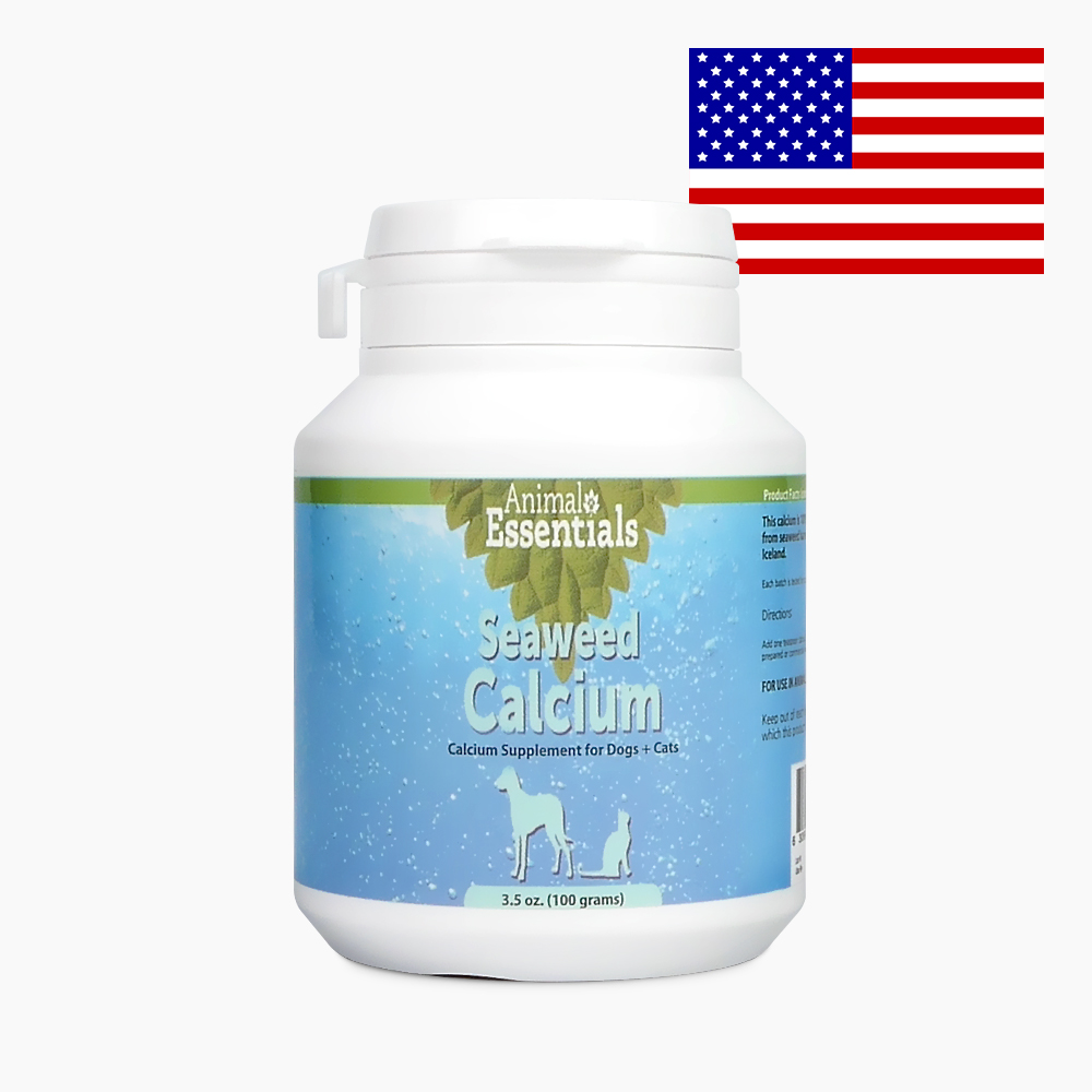 애니멀에센셜 해조칼슘 강아지 칼슘 뼈 골다공증 영양제 분말 화식 재료 이미지 3