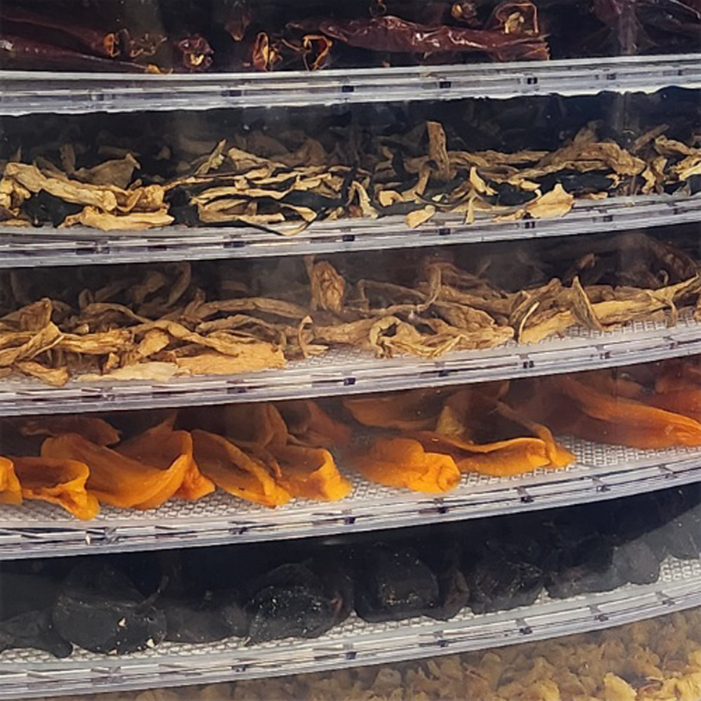 아로나 식품건조기 과일 고추 야채 생선 애견 간식 국산 가정용 ALD-500TB