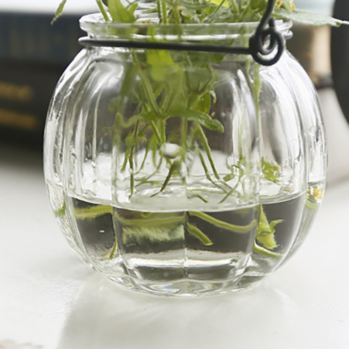 행잉 와이어 미니 글라스 유리 베이스 수경 테라리움 식물 공중 화병 꽃병 이미지 4
