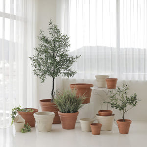 로렌조 자동급수 분갈이 플라스틱 인테리어 저면관수 대형 토분 화분 A베이... 실사용 후기 | 효과 있을까? - 상품 이미지 2