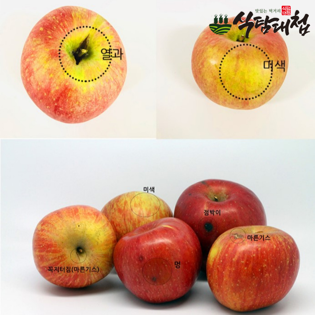 식탐대첩 심한 가정용 흠집 주스용 사과 4kg : 식탐대첩