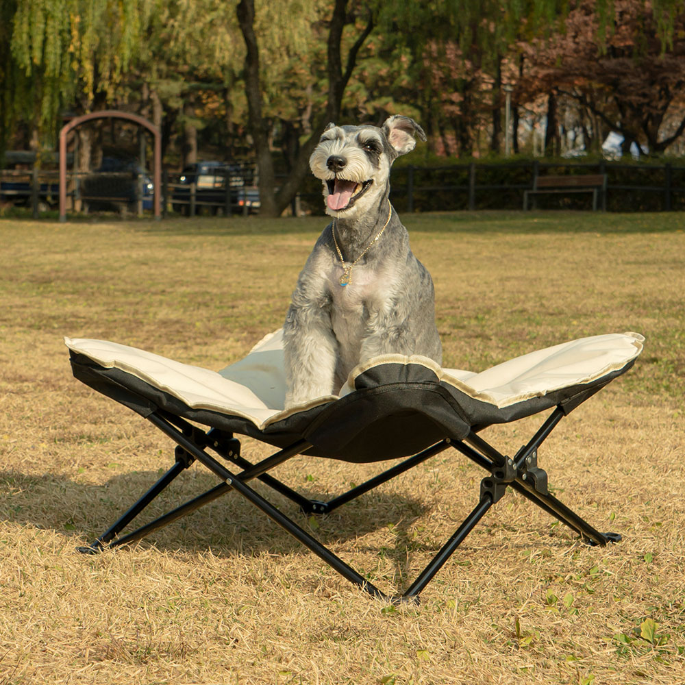 펫트리움 캠핑체어 강아지 의자 해먹 쇼파 침대 캠피체어
