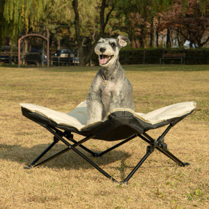 펫트리움 캠핑체어 강아지 의자 해먹 쇼파 침대 캠피체어 솔직 후기 | 실제 사용자 리뷰 총정리 - 상품 이미지 2