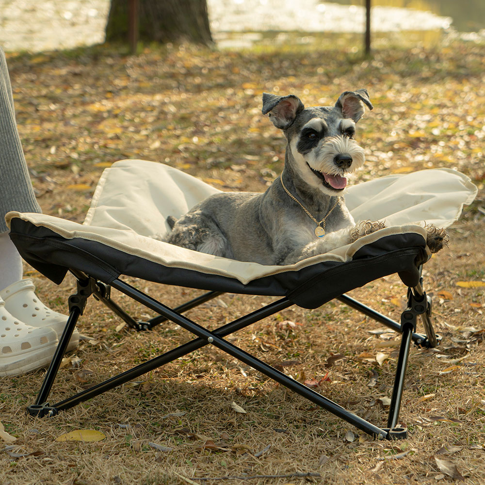 펫트리움 캠핑체어 강아지 의자 해먹 쇼파 침대 캠피체어