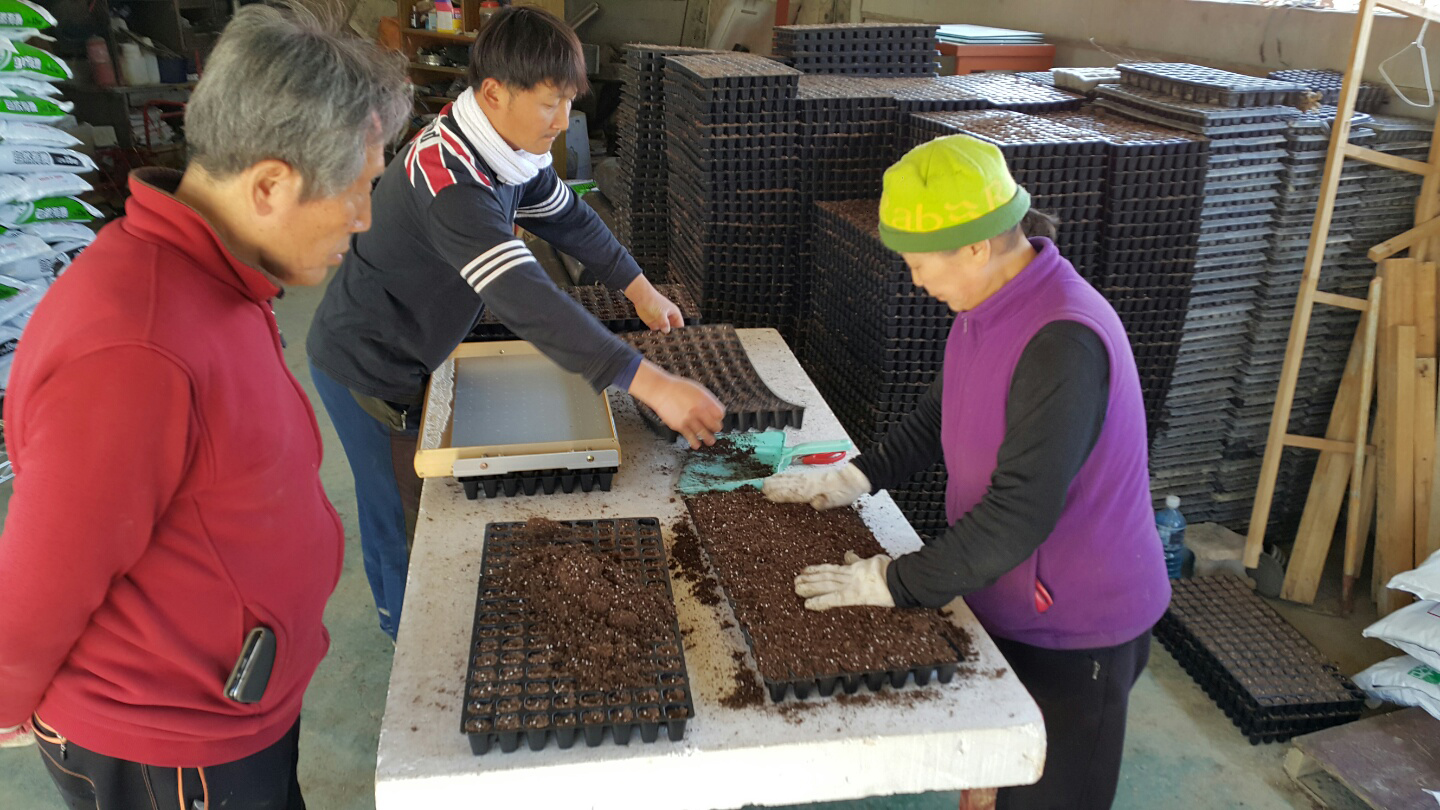 26년 햇 국산 저온착유 참기름 1구 선물세트 300ml, 1개 이미지 7