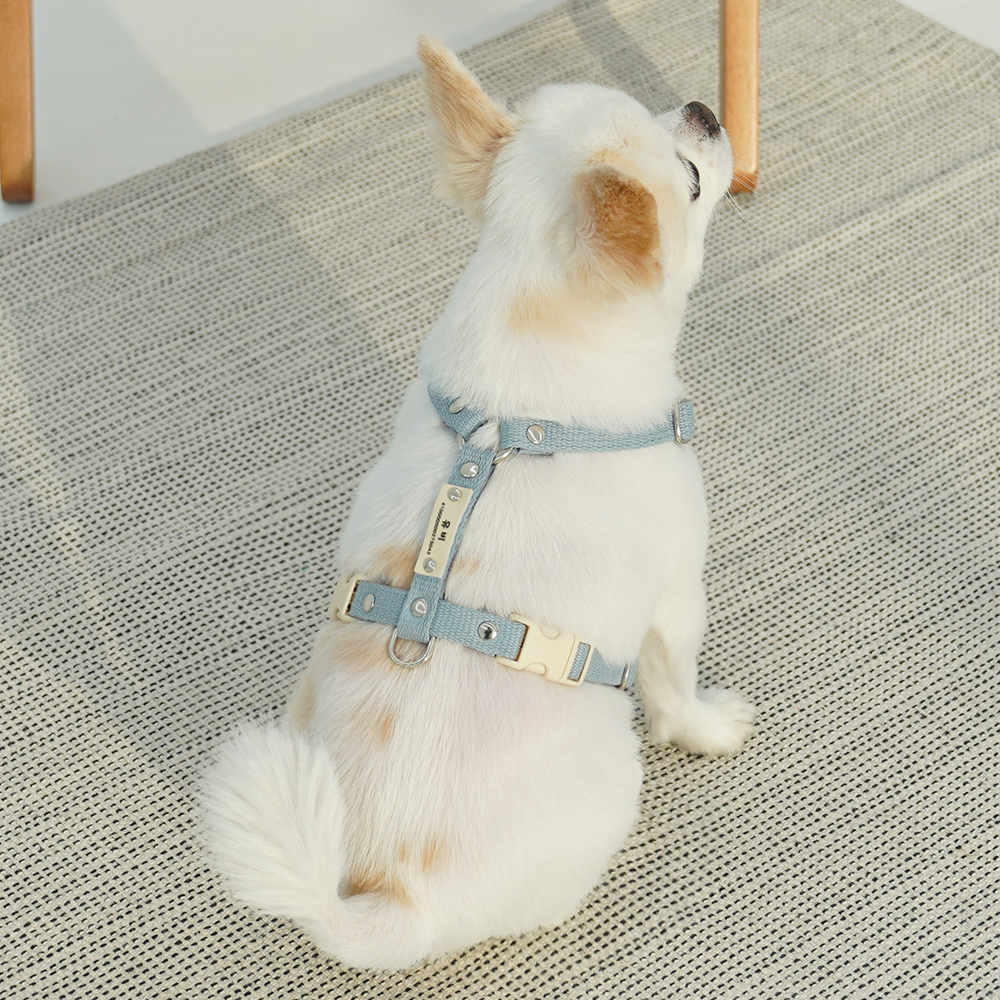 강아지 인식표 하네스 앞섬방지 H형 소형견 가슴줄 기본형 XS