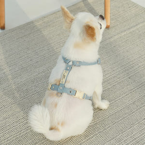 [SET할인] 강아지 하네스 앞섬방지 H형 가슴줄 + 멀티리드줄 세트 솔직 후기 | 실제 사용자 리뷰 총정리 - 상품 이미지 2