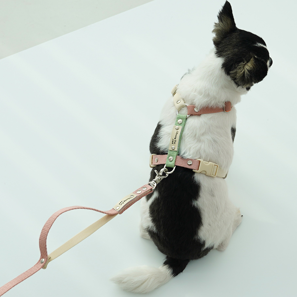 멀티 핸즈프리 강아지 밴드 리드줄 15mm-2m