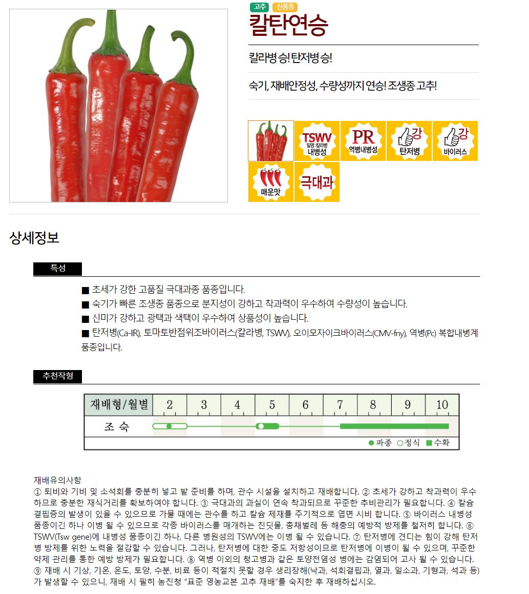 칼탄연승 1200립 극대과 고추씨앗 농우바이오 고추종자 극대과 칼라병 탄저병 극강 : 자재스토어