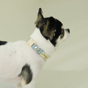 이름각인 순면 강아지 인식표 목줄 XS 솔직 후기 | 실제 사용자 리뷰 총정리 - 상품 이미지 2