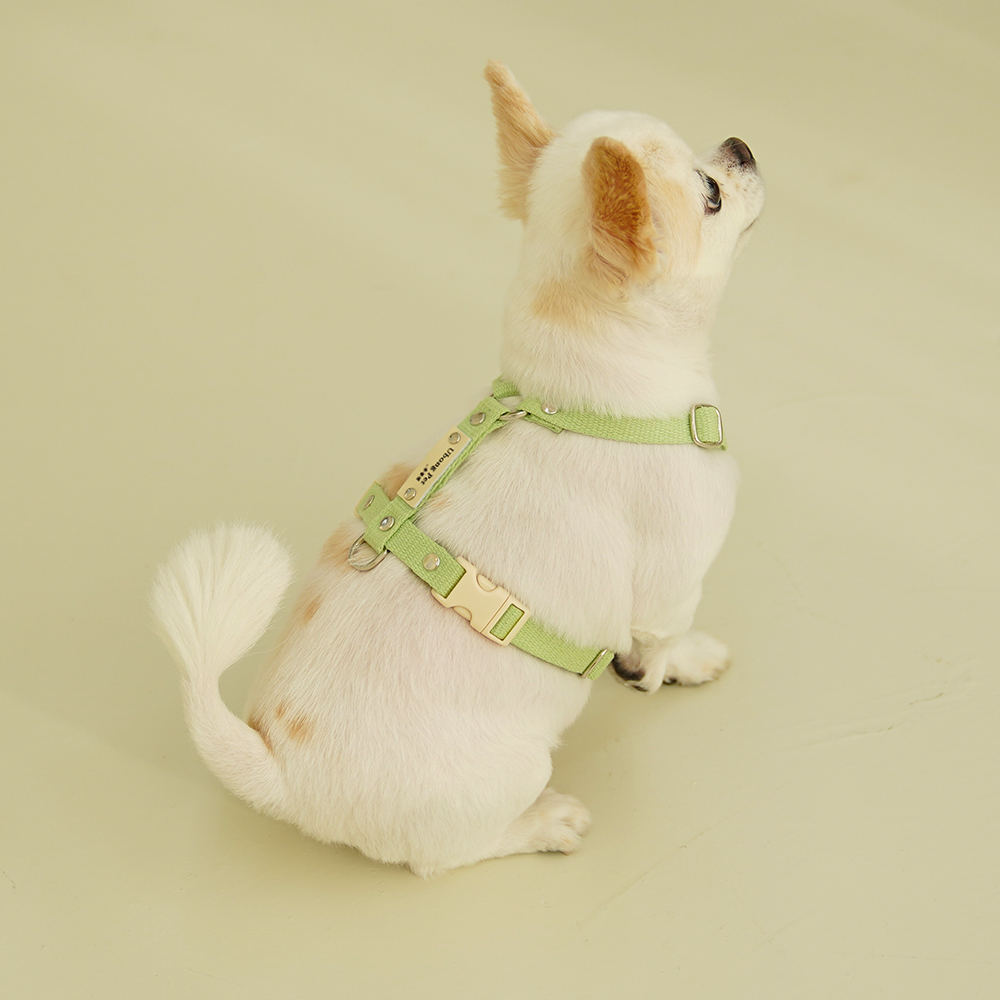 강아지 인식표 하네스 앞섬방지 H형 소형견 가슴줄 기본형 XS