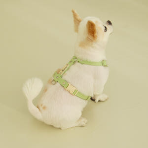 [SET할인] 강아지 하네스 앞섬방지 H형 가슴줄 + 멀티리드줄 세트 솔직 후기 | 실제 사용자 리뷰 총정리 - 상품 이미지 3